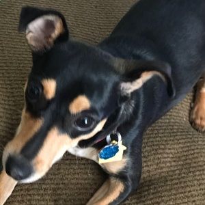 Meet your Posher, Staci