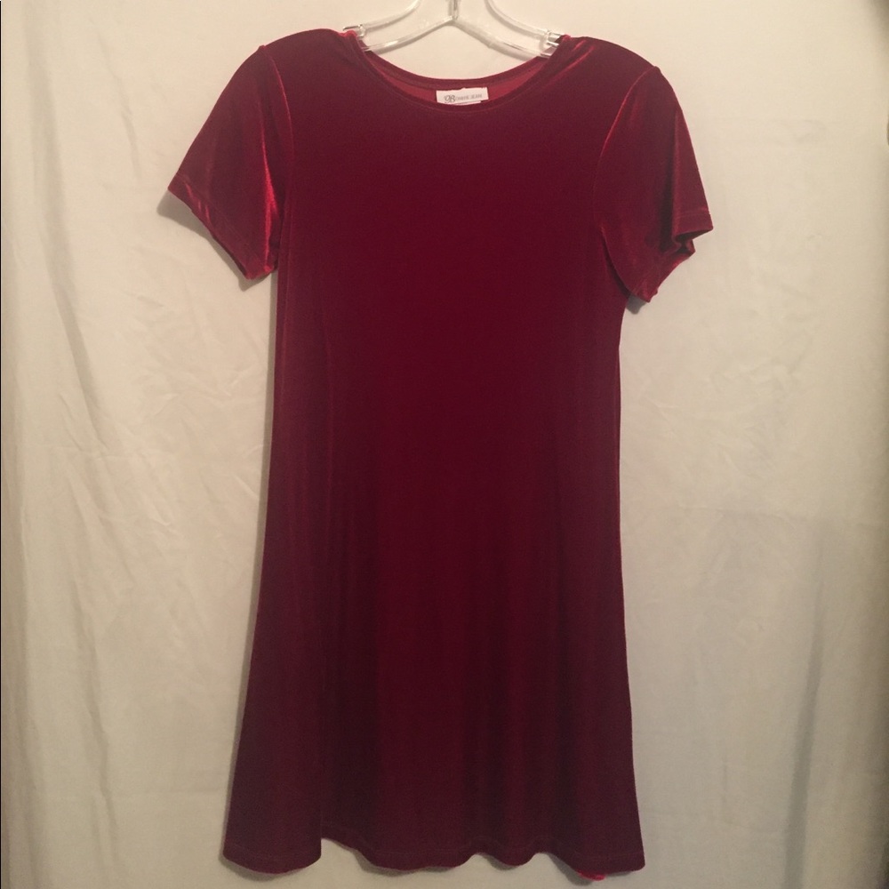 Velvet Holiday Dress AND Coat