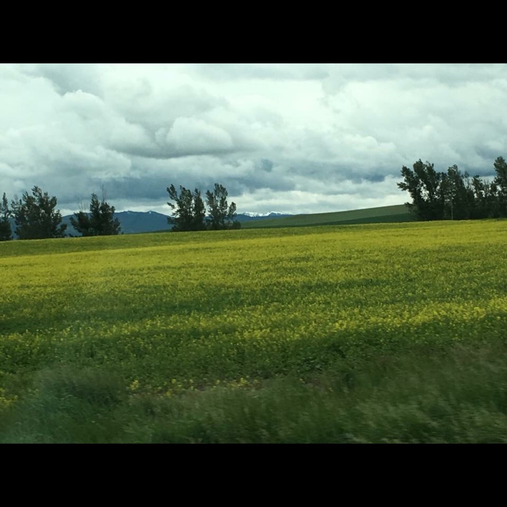 Meet your Posher, Sheila