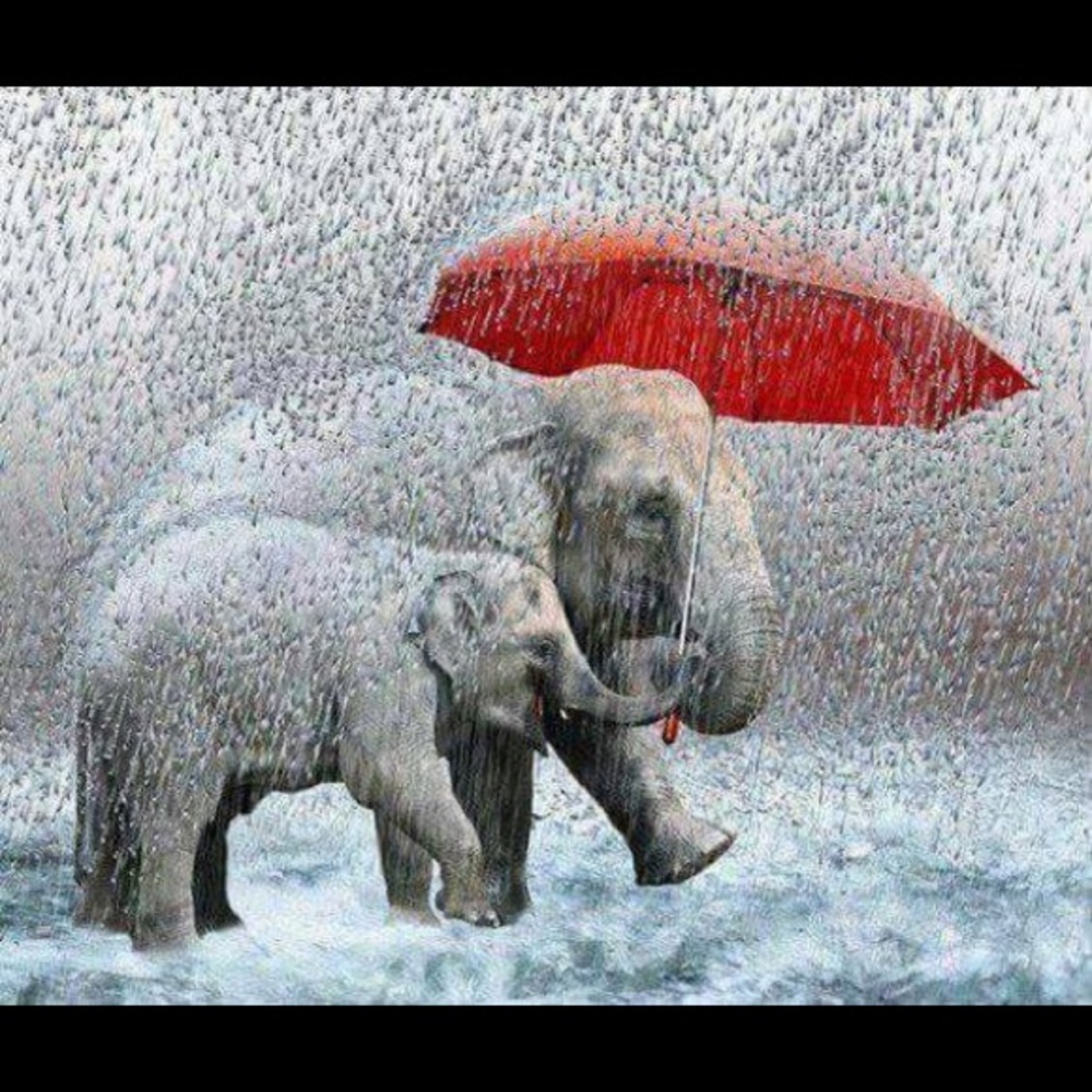 Meet your Posher, Annette