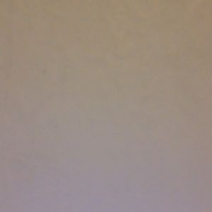 Meet your Posher, Randee