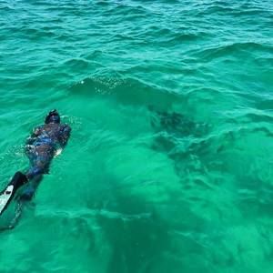 Meet your Posher, Blaine