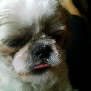 Meet your Posher, Rosemary