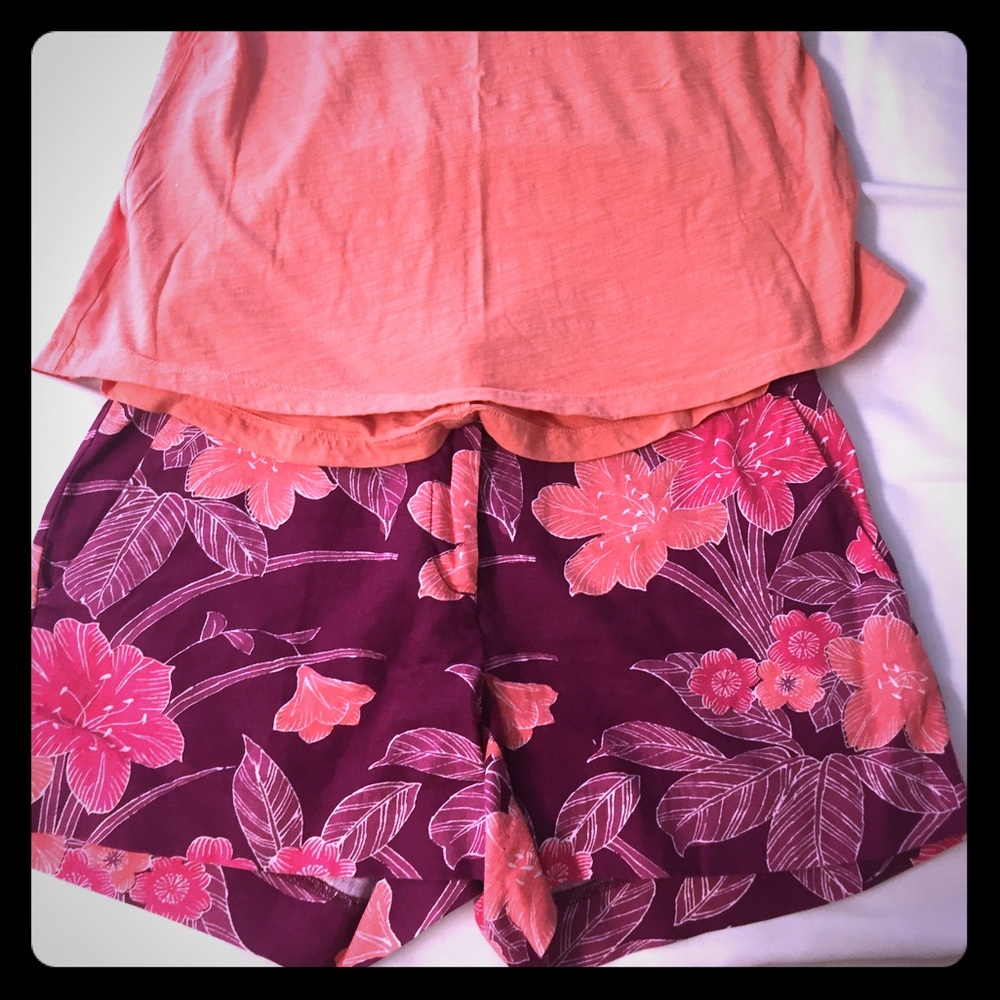 Loft shorts