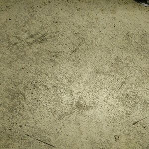 Meet your Posher, Rafael