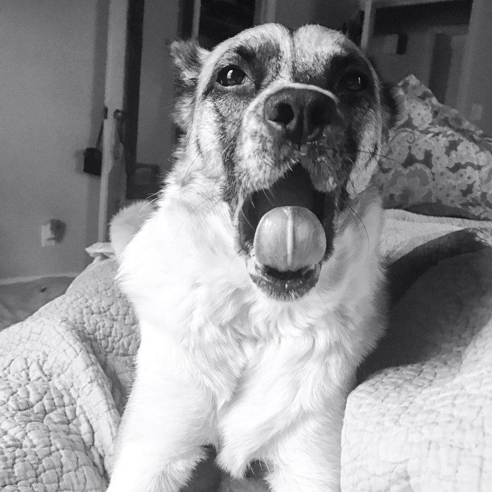 Meet your Posher, Maggie