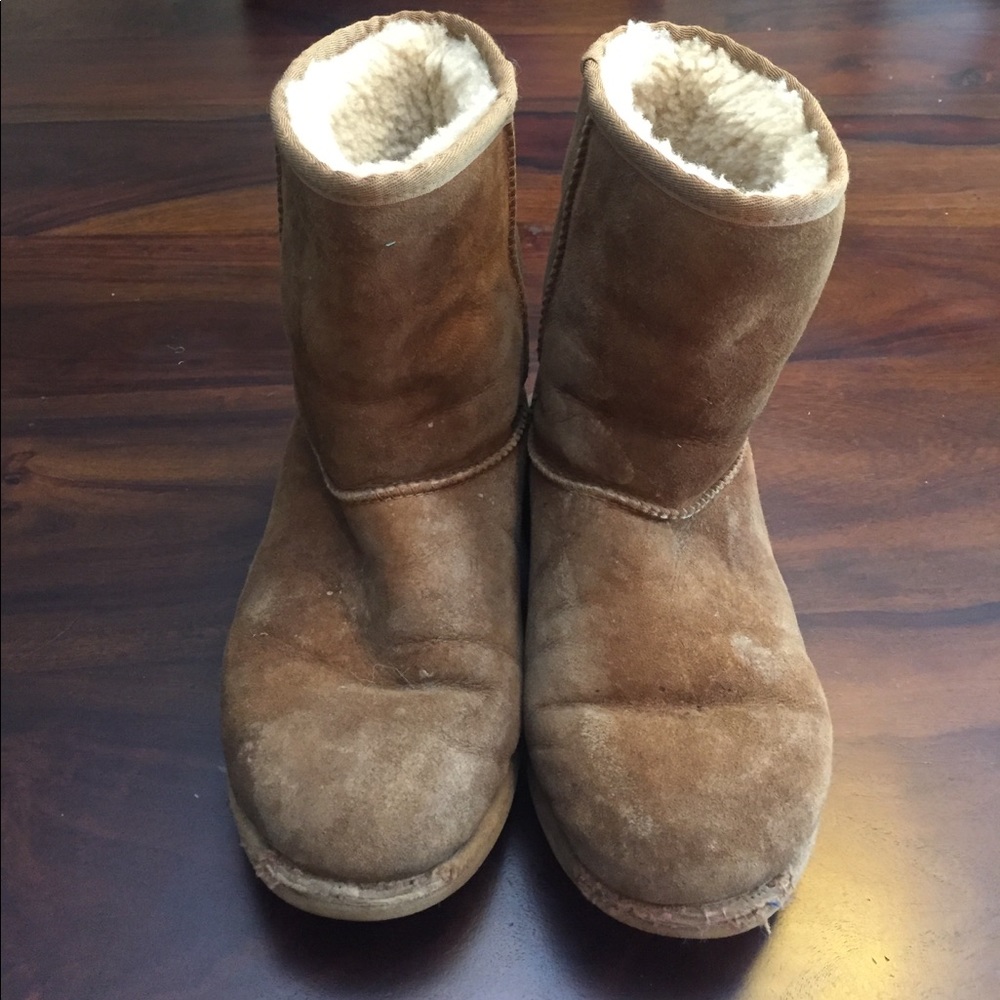 Short Uggs - Chestnut