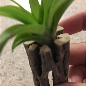 Meet your Posher, Carol