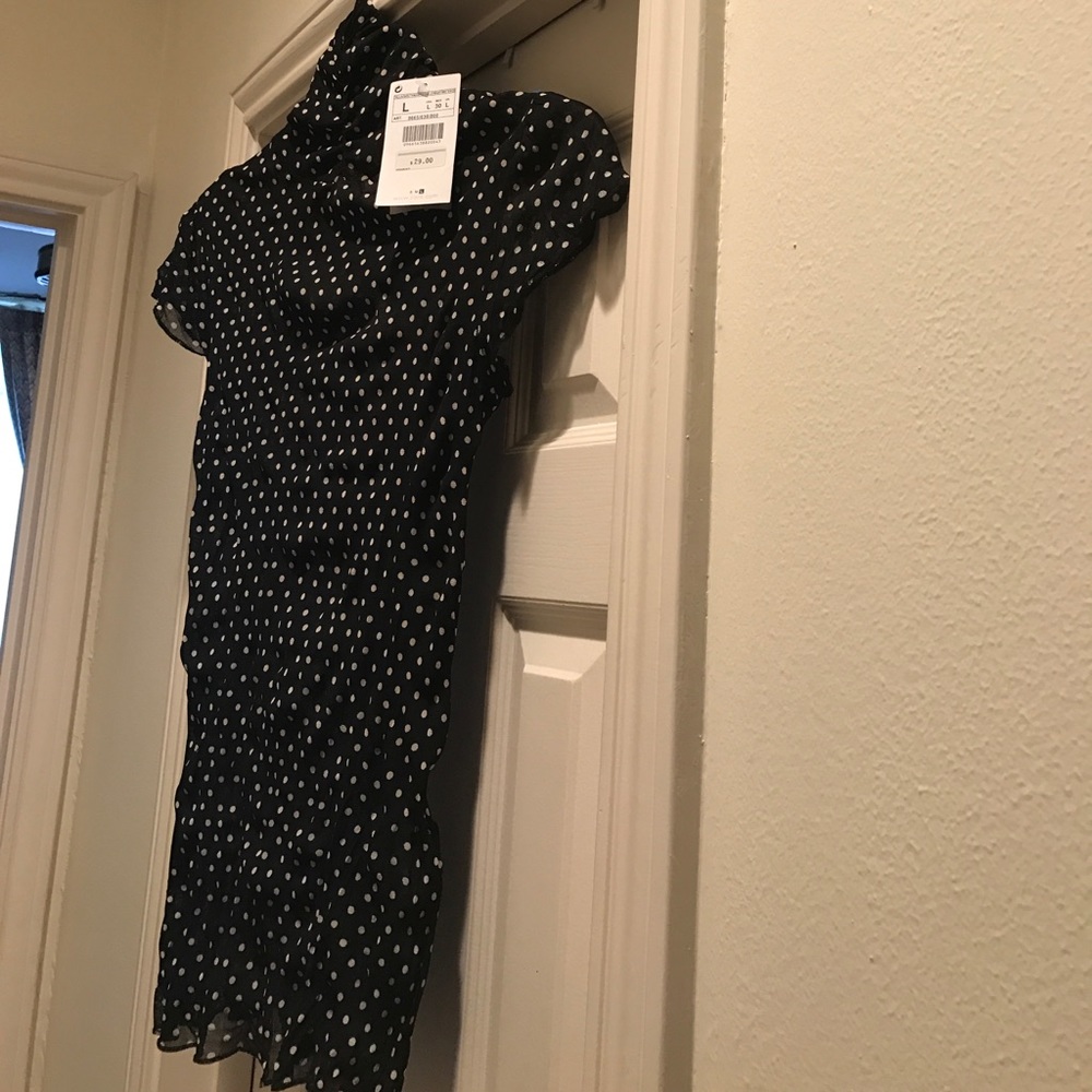 Zara Blouse New!!. Black cream size Large