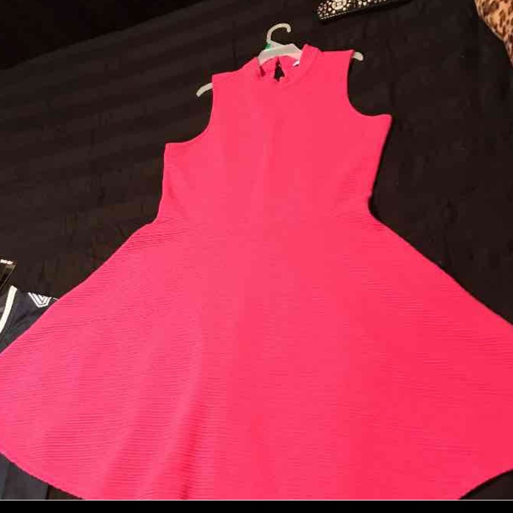 Pink Skater dress