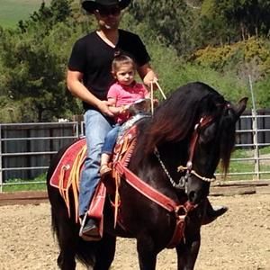 Meet your Posher, Gilbert