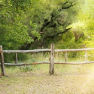 Meet your Posher, Kaylob