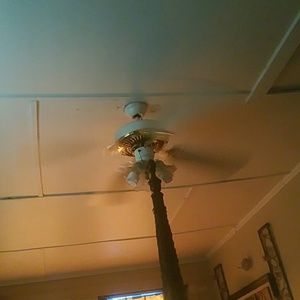 Meet your Posher, Ana