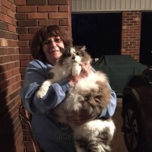 Meet your Posher, Linda