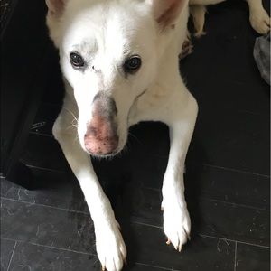 Meet your Posher, Candy