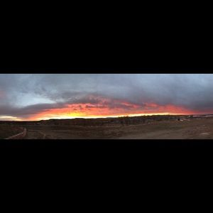 Meet your Posher, Heidi