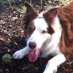 Meet your Posher, Spencer