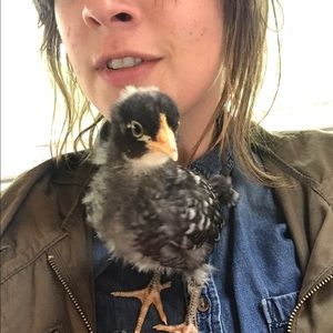 Meet your Posher, Kayleigh