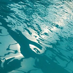 Meet your Posher, Ty