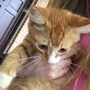 Meet your Posher, Macie