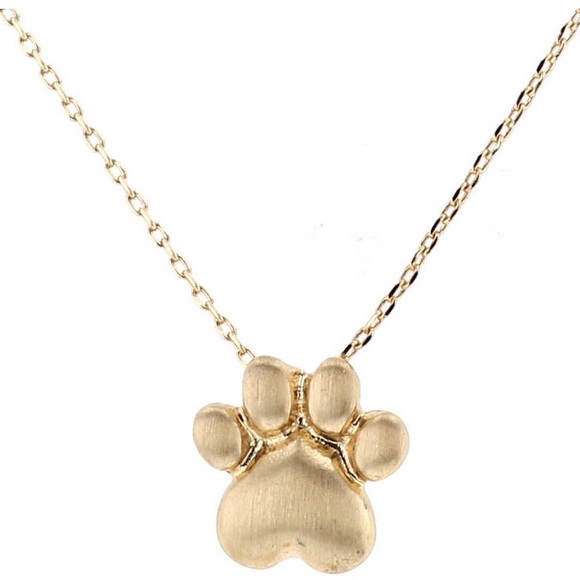 Jewelry - Paw Pendant, Gold Filled Brass and Chain.