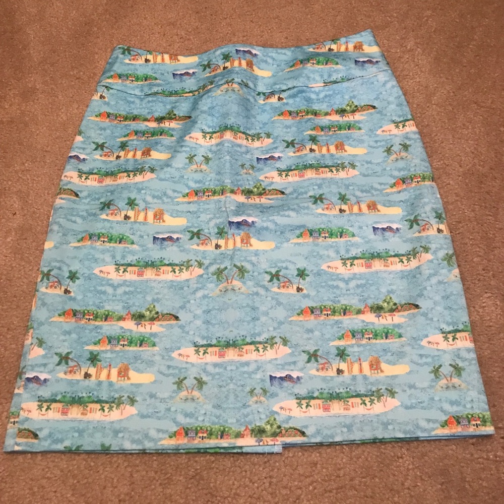 NWOT Kaeli Smith skirt.