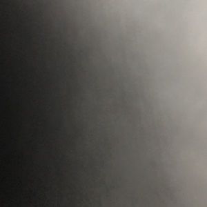 Meet your Posher, Annmarie