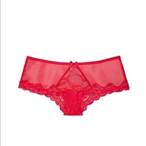 NWOT Mesh and Lace Cheeky Panty