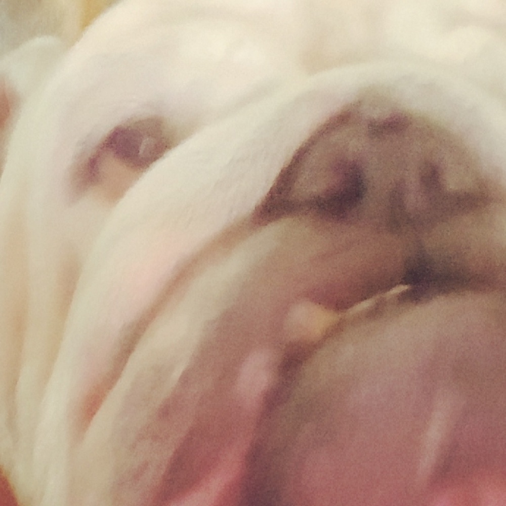 Meet your Posher, Ilda