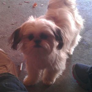 Meet your Posher, Kara