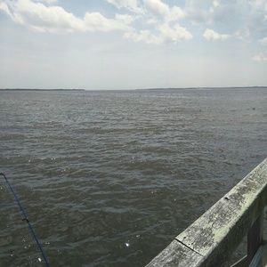 Meet your Posher, Willie