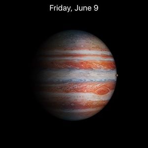 Meet your Posher, Rafael