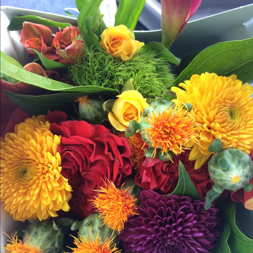 Meet your Posher, Molly