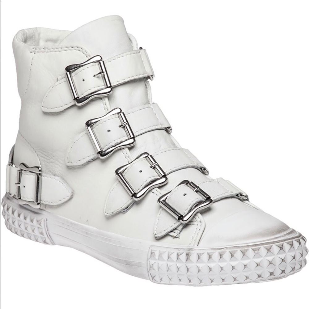 Ash hi top buckled leather sneaker