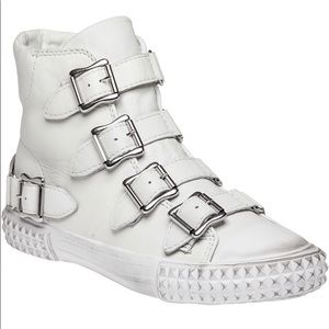 Ash hi top buckled leather sneaker