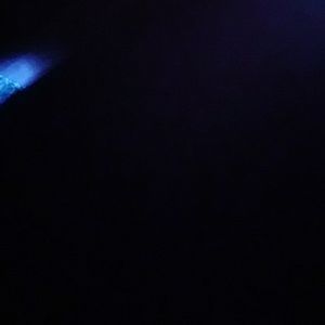 Meet your Posher, Rose