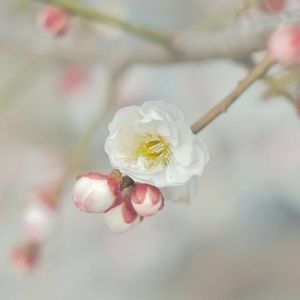 Meet your Posher, Shawna