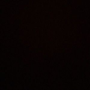 Meet your Posher, Bobi