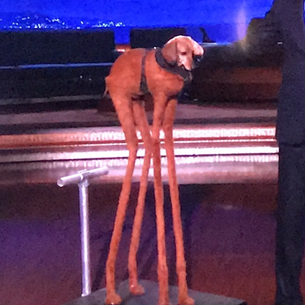 Meet your Posher, Gi