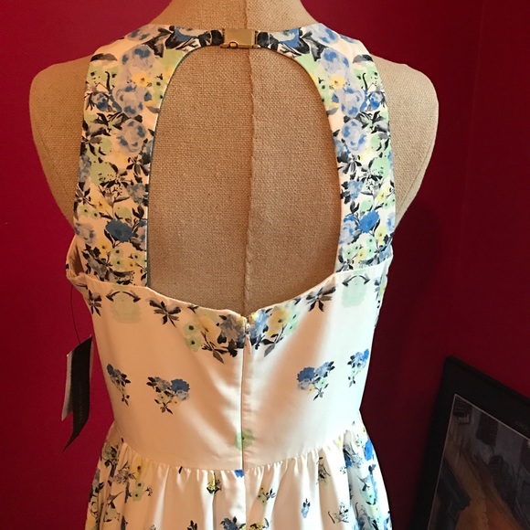 Cynthia Steffe High-Low Dress - Picture 3 of 4