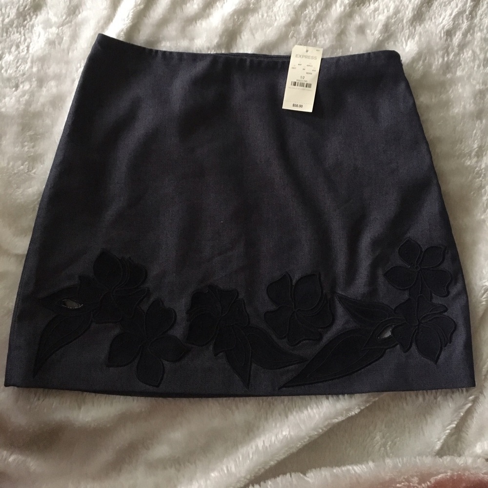 NWT!!  Express Skirt with Suede Details