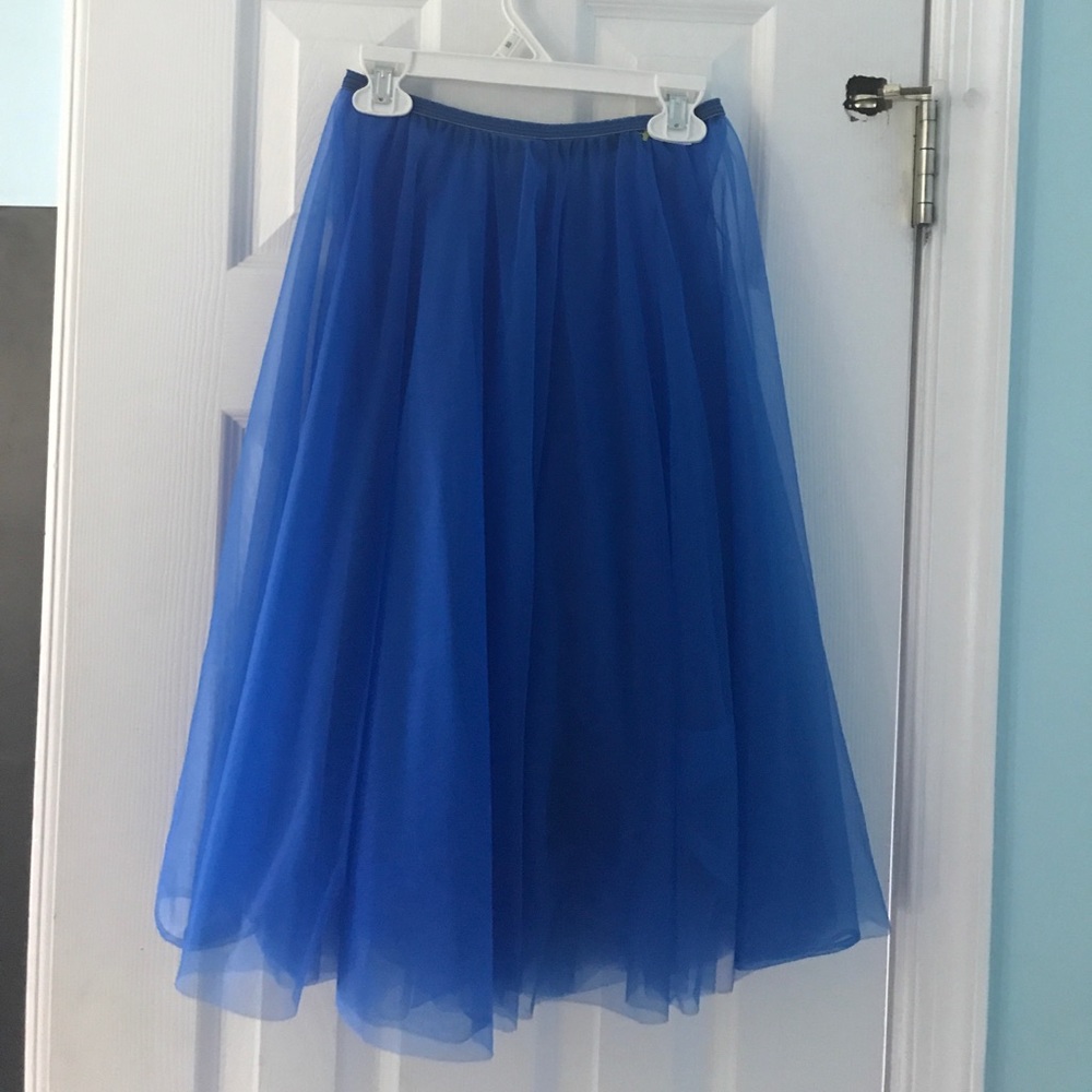 Blue tulle skirt