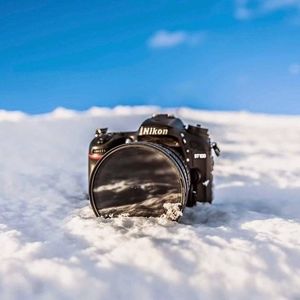 Meet your Posher, Logan