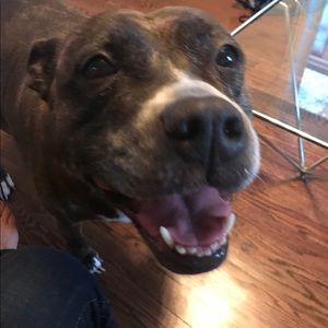 Meet your Posher, Dalia