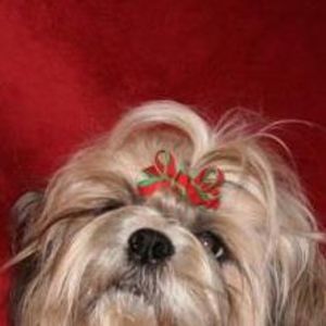 Meet your Posher, Rita