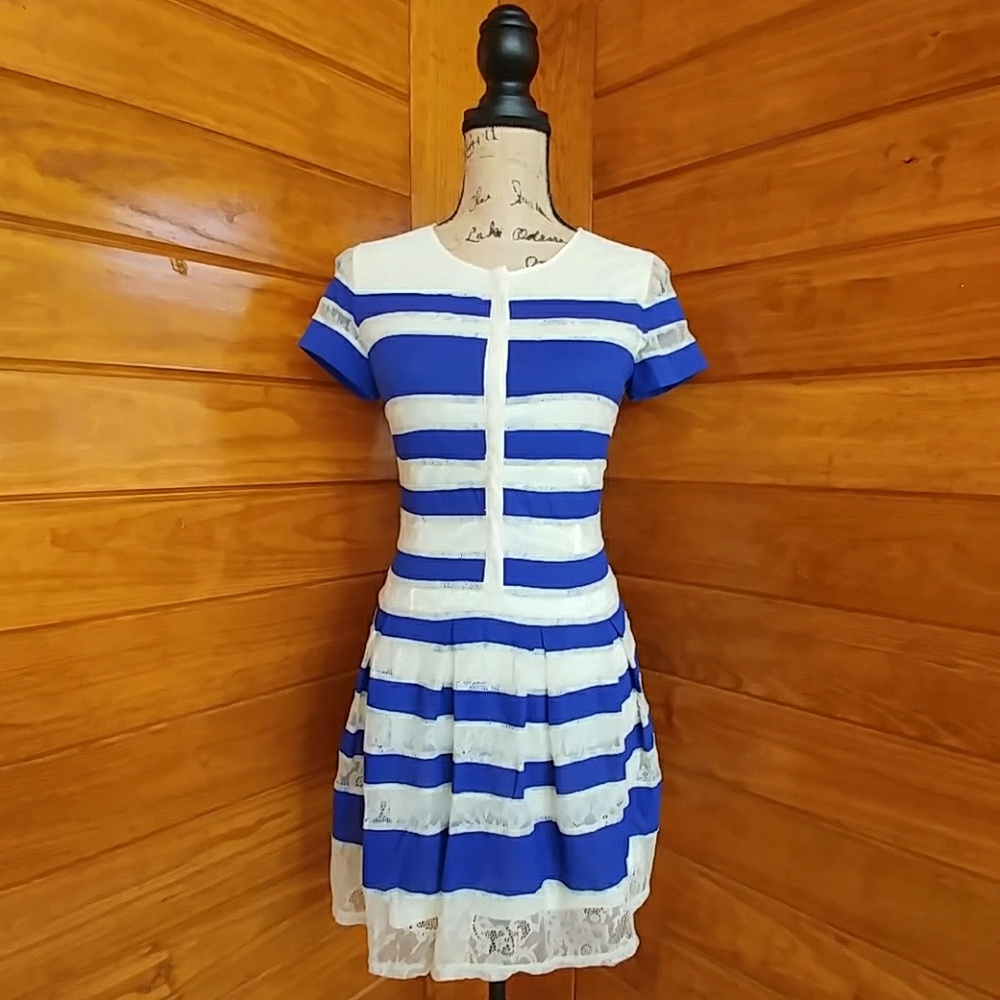 💙Skater Dress with Lace Detail