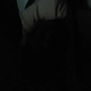 Meet your Posher, Imamu