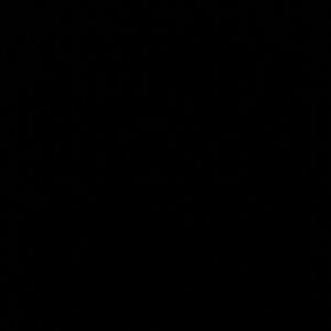 Meet your Posher, Rosa