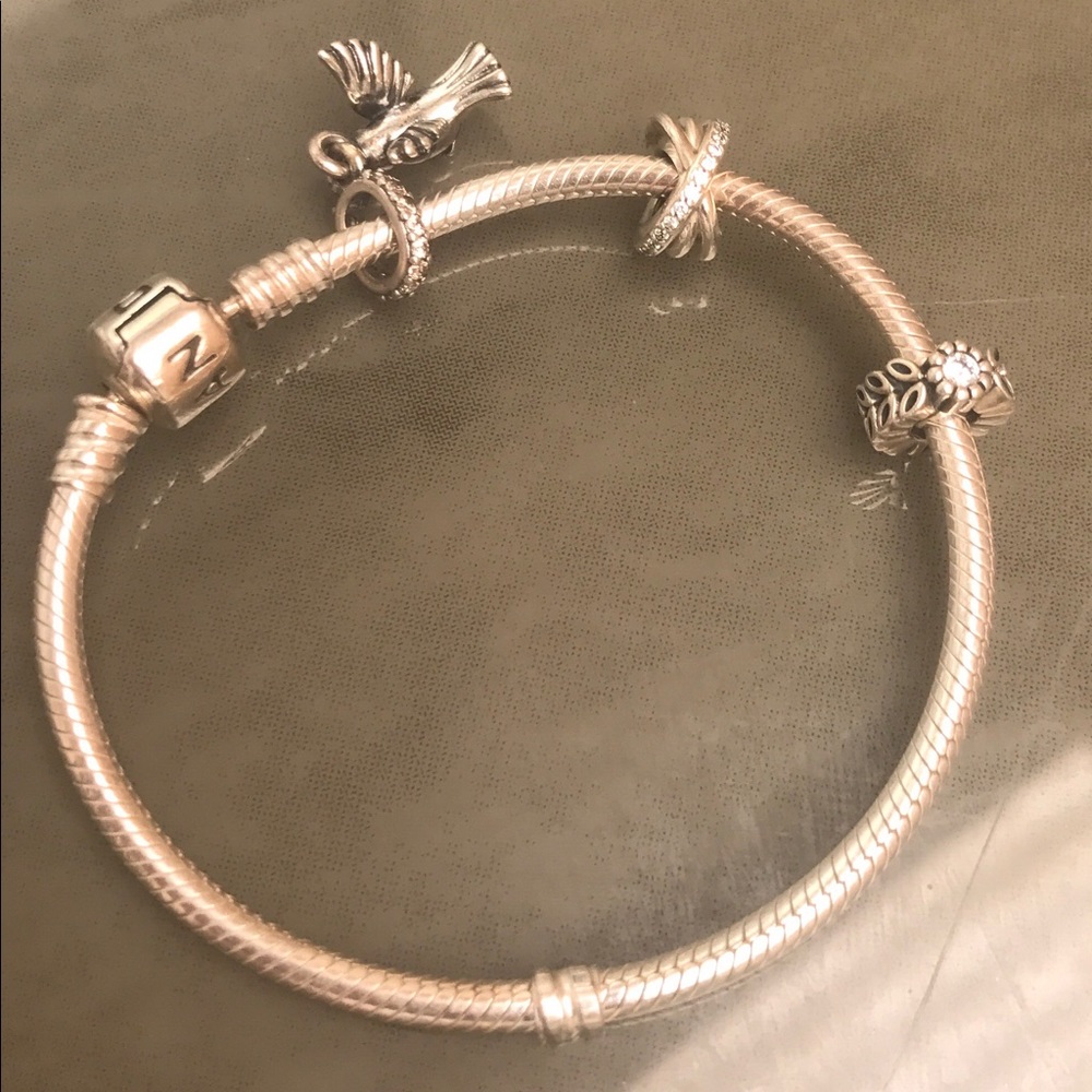 🌷EUC. worn 1x🌷Pandora Bracelet & 3 Charms