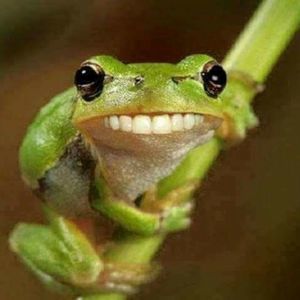 Meet your Posher, Lindsey